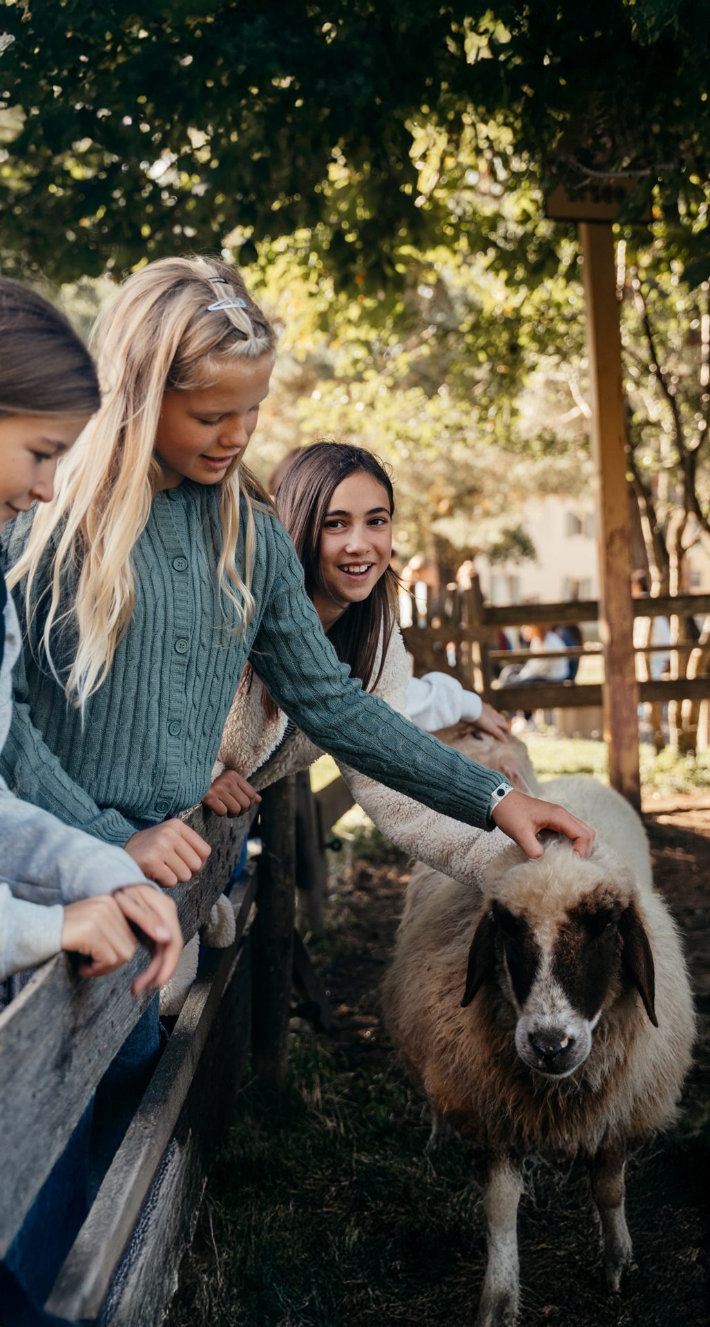 Schülerinnen mit einem Schaf im Tierprojekt, Bischof-Ulrich-Realschule Augsburg